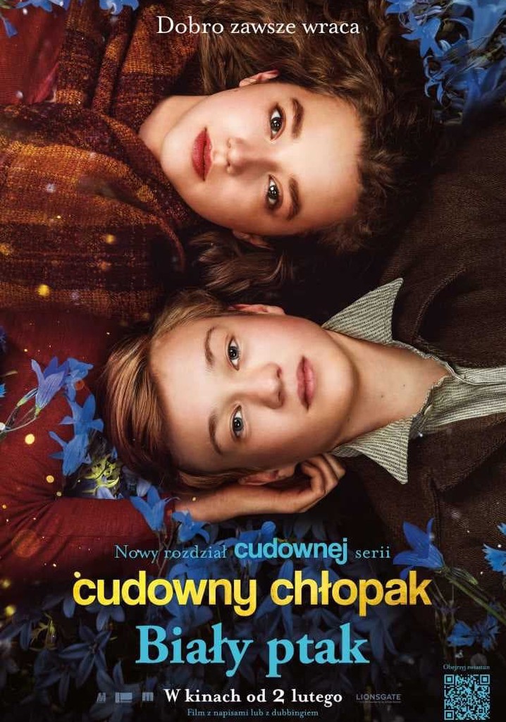 Film Cudowny chłopak. Biały ptak VOD. Gdzie oglądać za darmo?