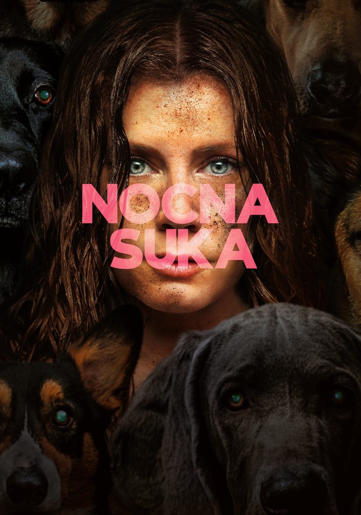 Film Nocna suka (2024) VOD. Gdzie oglądać za darmo?