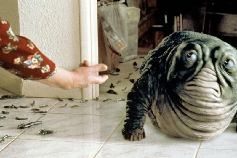 Wzrost popularności filmów niezależnych