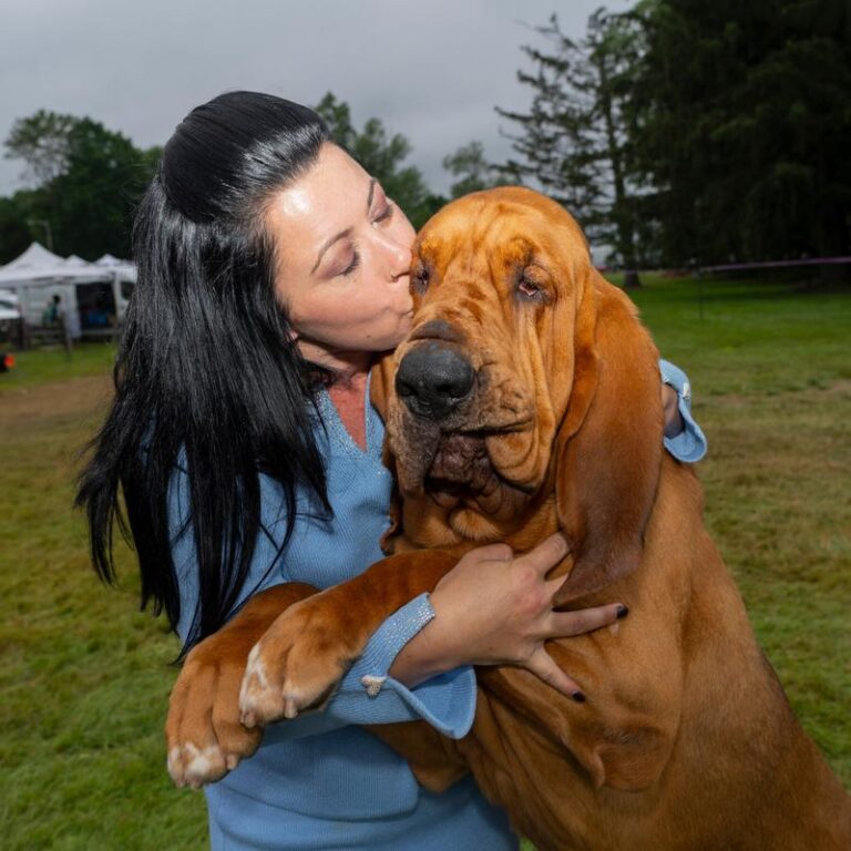 Czy „Bloodhounds” to nowy kryminał, który przyciąga uwagę?