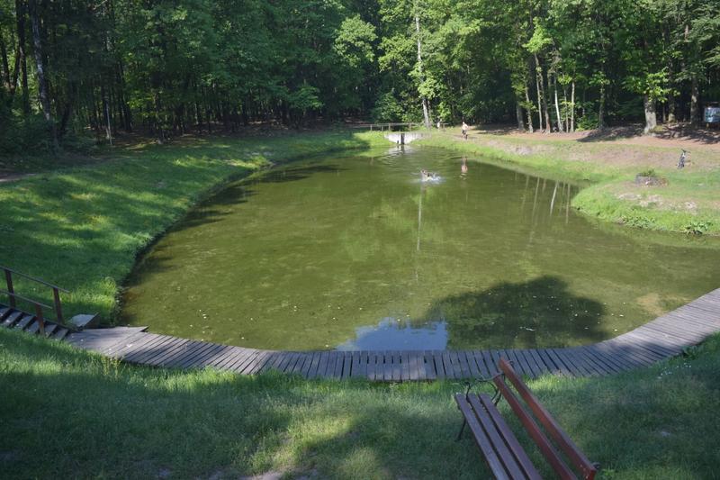 Czy Siedem cały film naprawdę zasługuje na miano klasyka thrillera?