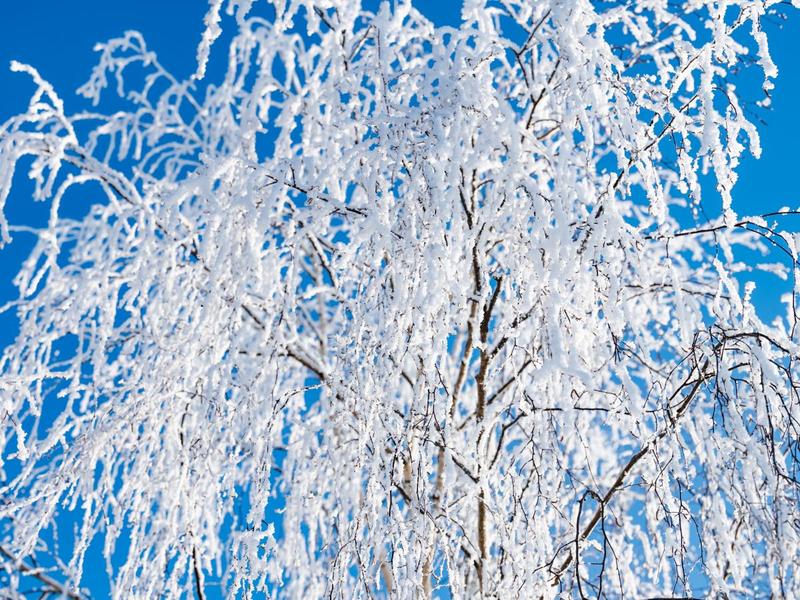 Ewolucja Moniki Wolnickiej w Szadzi