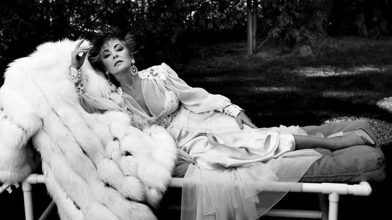 Fantastyczne zwierzęta