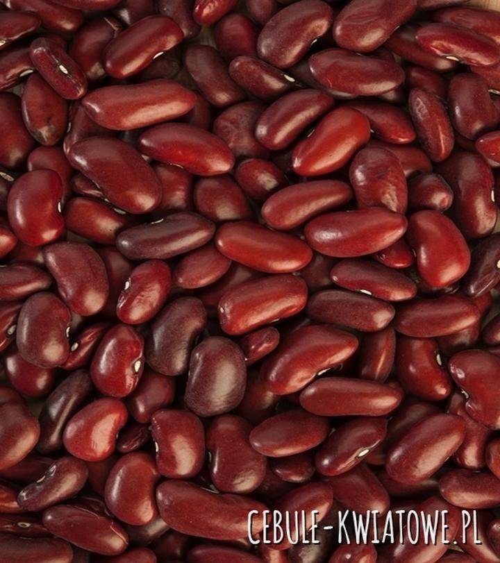 Miłość i poświęcenie w operze