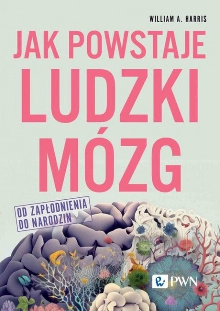 Narzędzia i techniki prestidigitatorskie