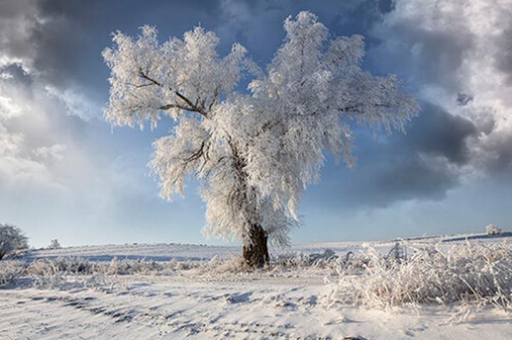 Trzeci sezon Szadzi manipulacje i geny