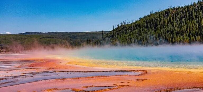 Kiedy Yellowstone zagości na Netflix? Oto daty premier kolejnych sezonów!