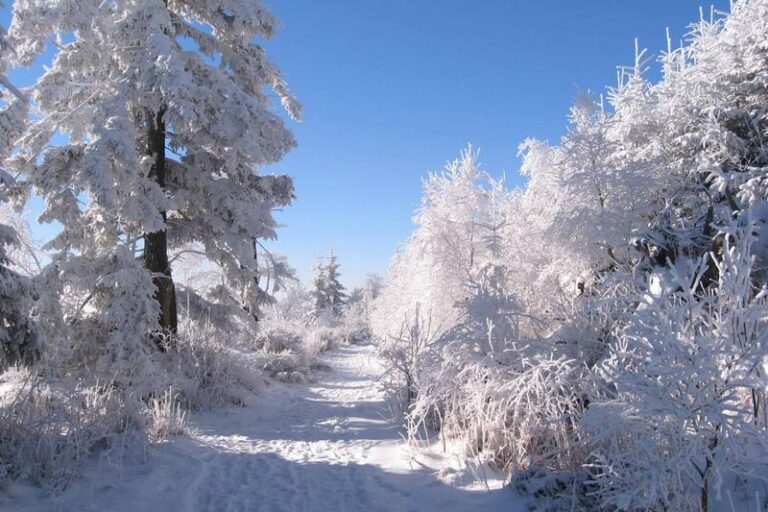 Odkrywamy tajemnice serialu Szadź: ile odcinków ma każdy sezon?