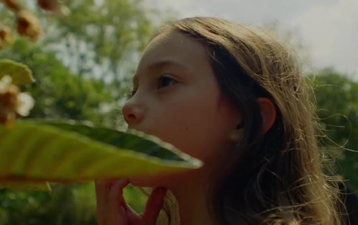 Tótem 2023 – odkryj emocjonujący świat nowego filmu sensacyjnego