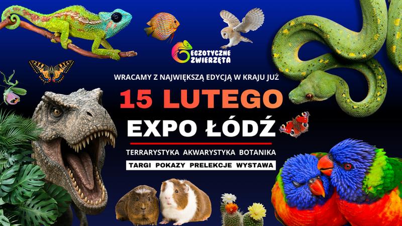 Ciekawostki o zwierzętach