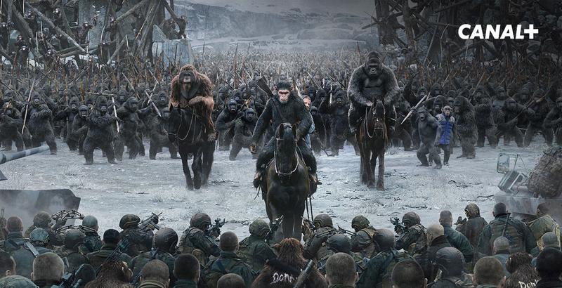 Legalne źródła filmów