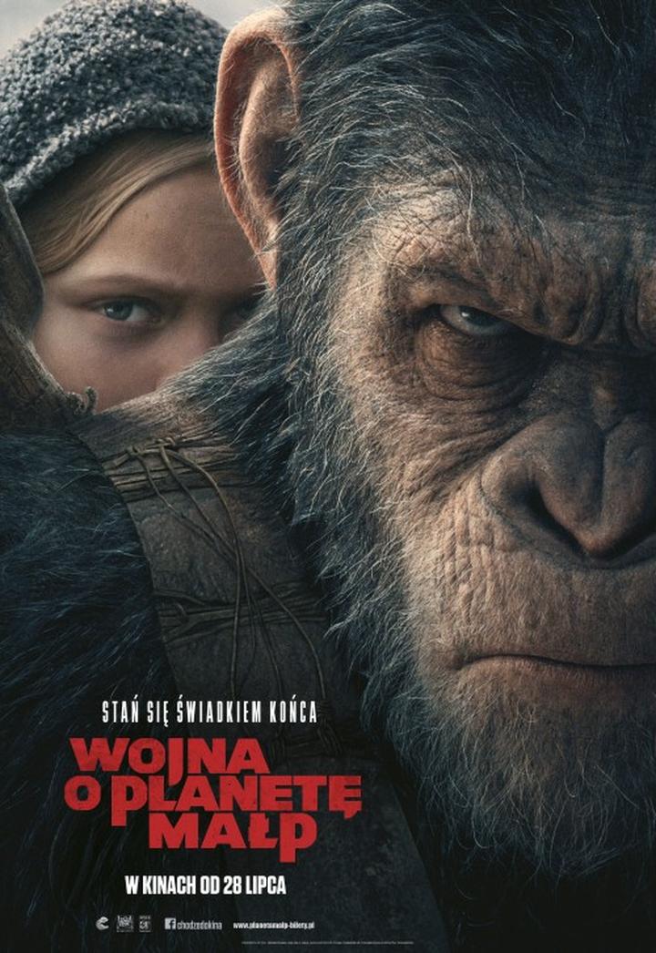 Platformy streamingowe